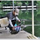 그린 낚시터 이미지