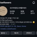 로애플라워즈