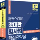 2023 해커스경찰 갓대환 형사법 핵심요약집 : 형법 및 형사소송법(수사와 증거), 김대환, 해커스경찰 이미지