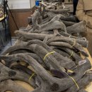 경희천통한의원 이미지