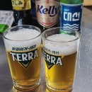 임채환참치정육점 이미지