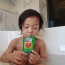 그랜드 스위트 룸에서 즐기면서 E.F.L 라운지 조식 및 수영장 방문하기 by 티마크 그랜드 호텔 명동