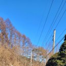 선아아파트(56039) 이미지