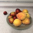 하단동1092 | 6월