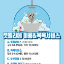 캣틀리에 이미지