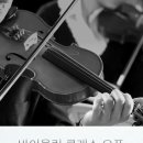 [신규]바이올린 이미지