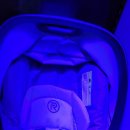 워싱고릴라 이미지