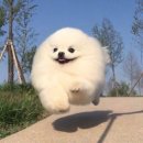 상현근린공원_2R | 크로스핏 주간 운동일기 다이어트 시급