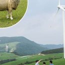 제일목장 이미지