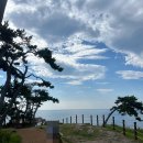 송대민박 | 경남경북 스노쿨링명소 감포송대말등대스노쿨링 주차장 취사여부 화장실