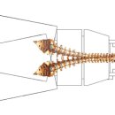 카이로프락틱 이미지