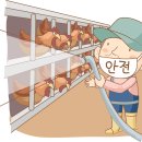 준수농장 이미지