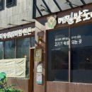 메밀밭도야지 이미지