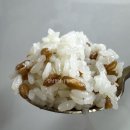 파로 | 내돈내산 “그레인온 파로”후기 혈당잡는 파로밥 짓기