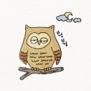 뉴보문 풀빌라 이미지