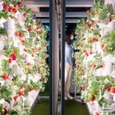 부연농장 이미지