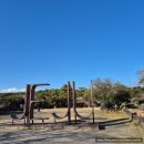 돼지야놀자 | 제주 서귀포 가볼만한곳 [휴애리 자연생활공원] 유채꽃·흑돼지 체험 후기 (3월 방문)