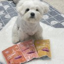 파머라운지 | [파머라운지] 겨울에 맛있는 강아지고구마간식 급여 후기