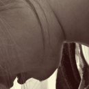 서영이 할머니네 이미지