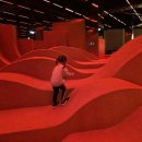 대자연어린이집 | 네이처스케이프 플러스 동탄 키즈카페 대형 규모 시설 미쳤다..!!!