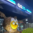 GS25 용인포곡점 | 용인 골든튤립 호텔 편의점 야식은 즐거웠지만 아찔했던 순간 이야기