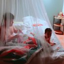 YOLO BEACH 이미지