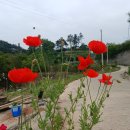 하날농장 이미지