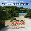 대덕면사무소.내건지리(외건지) | <안성시"창고형 근린시설">- 대덕면"대지1387평"(4차경매)1024-9569