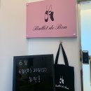 가죽발레 | 🐢 자세 교정+생존을 위한 취미 발레 2년차 후기 feat. 비기너반 고인물의 발레 효과 후기