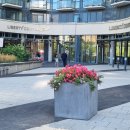 49 East Liberty Condo 19층 ,전망 좋은 남향 1Bed/1Bath 세입자 구합니다. 이미지