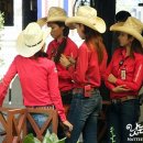 인솔농장 이미지