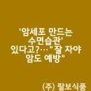 감꽃요양병원 | &#39;암세포 만드는 수면습관&#39; 있다고?…&#34;잘 자야 암도 예방&#34;