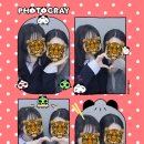 복터진 강아지 | 2026년 3월 일상 : 아직도 추운데 봄이라 할 수 있나요