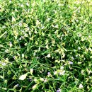 원지 농장 이미지