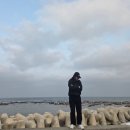 지혜횟집 | 포항 월포맛집 지혜횟집 도다리물회 후기