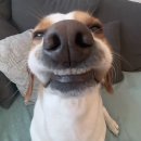 한국교육과정평가원 앞 | 지나간 오늘을 붙잡는 법