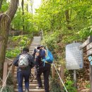 염곡동 어린이공원 | 김수철[한양전경도]를 보고 대모산,구룡산을 걷다(2021,4,20)