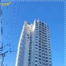 세림펠리체 이미지