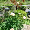 양평펜션벨뷰 이미지