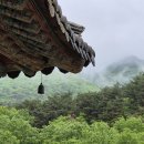 바람의 선물 티스토리