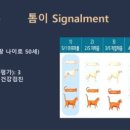 조이앤동물병원 이미지