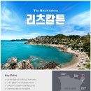 신혼여행 2탄｜팜투어 청주점 허니문 상담 후기 (신혼여행 나라 추천 &amp; 리조트 상담 과정)