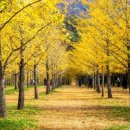 덕두원길 이미지