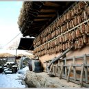 꽃을주는사람 이미지