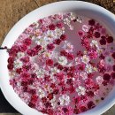 매화강산 이미지