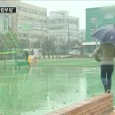 서울강남초등학교 이미지