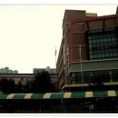 호연초등학교 이미지