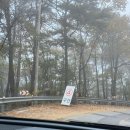 별마로천문대 화장실 | 강원도 영월 별마로천문대 운해 성공후기, 서울 출발 당일치기 일정.