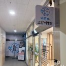이영수 고양이 병원 이미지