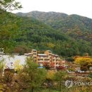 장계 공공도서관 이미지